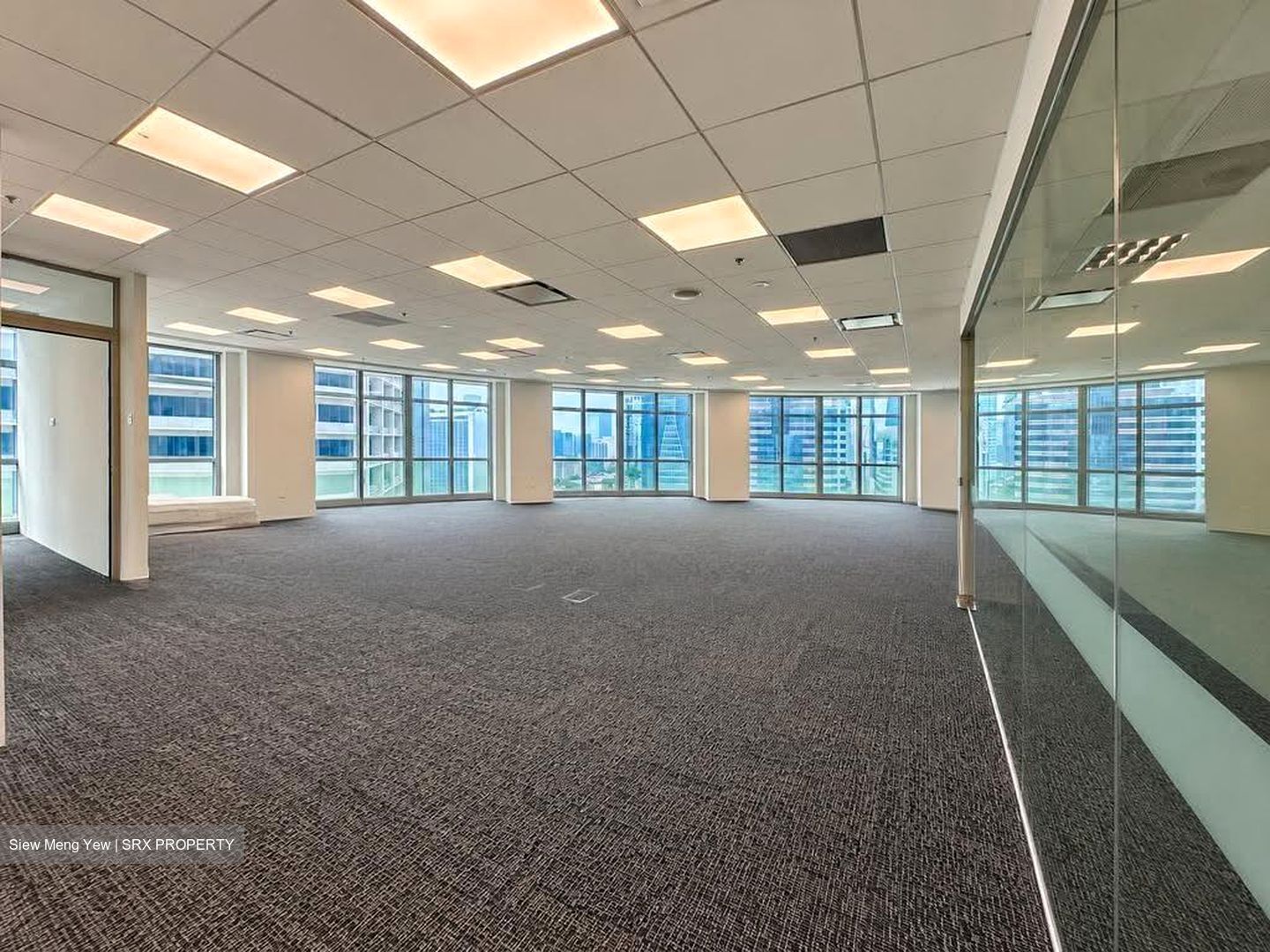 Springleaf Tower (D2), Office #627360601